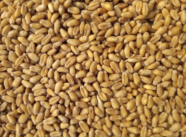 গমের আটা (২ কেজি)